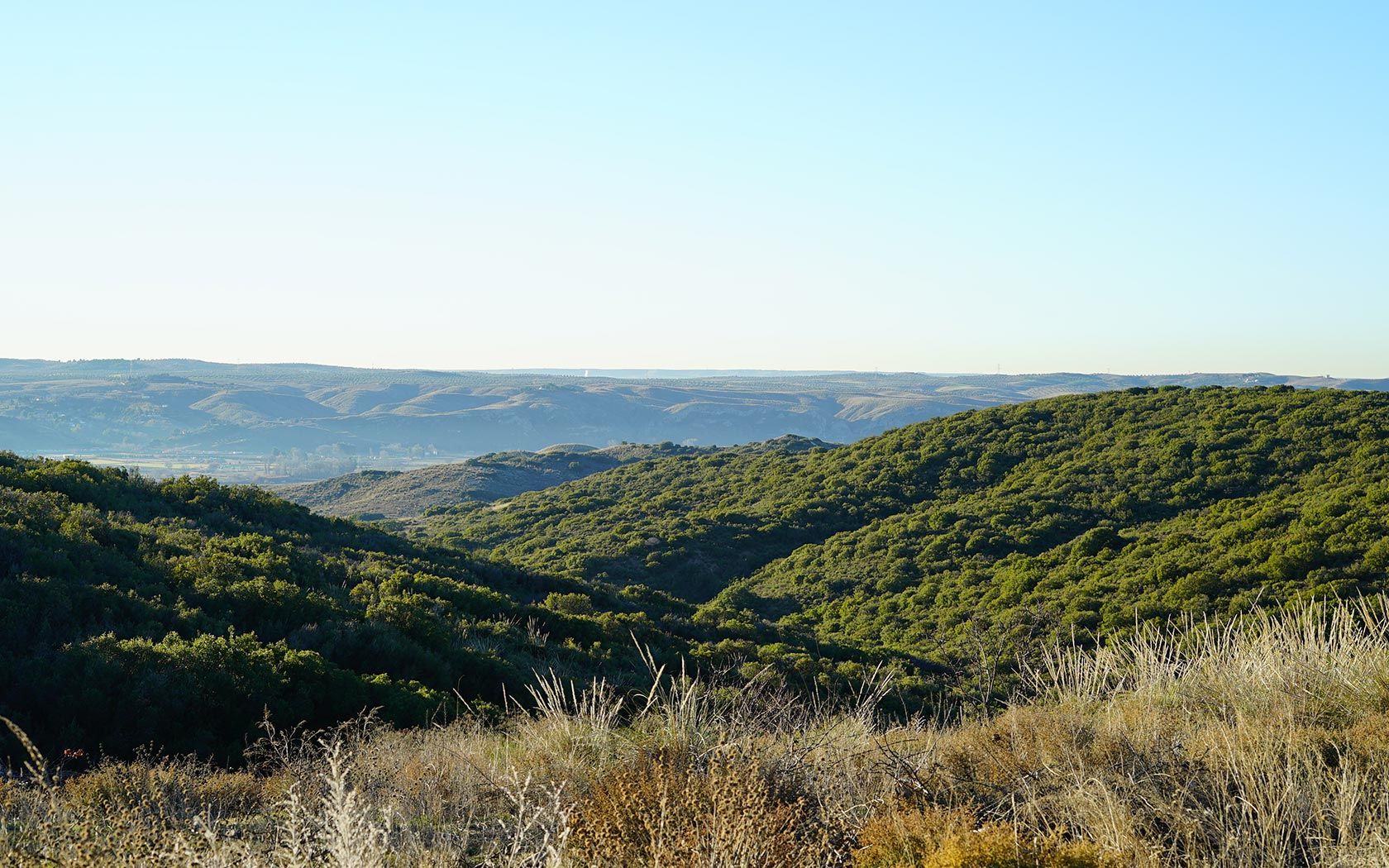 Cacerías en Casasola del Monte 2